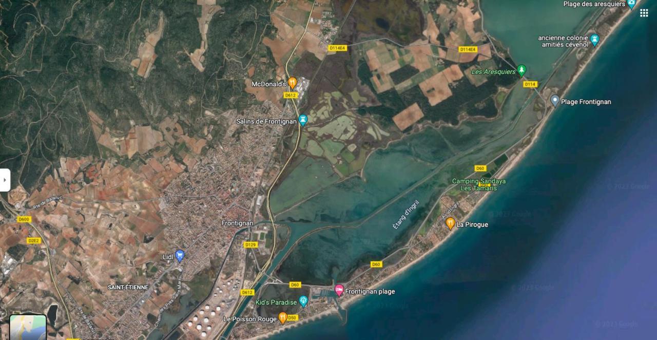 La Perle Bleue, 100 M De La Plage, Parking, Wifi 弗龙蒂尼昂 外观 照片