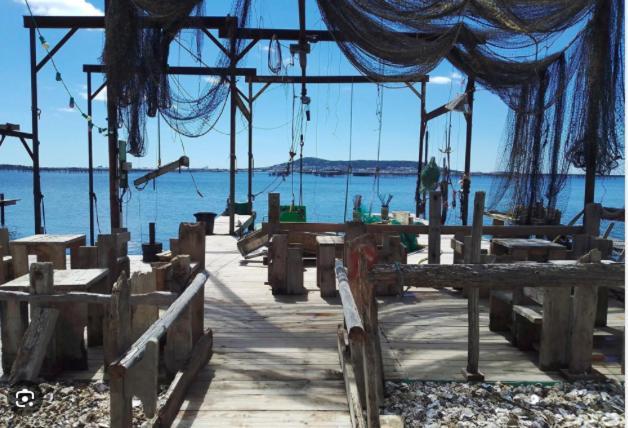 La Perle Bleue, 100 M De La Plage, Parking, Wifi 弗龙蒂尼昂 外观 照片